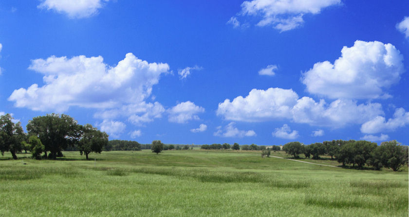 Vista Pointe Farms photo