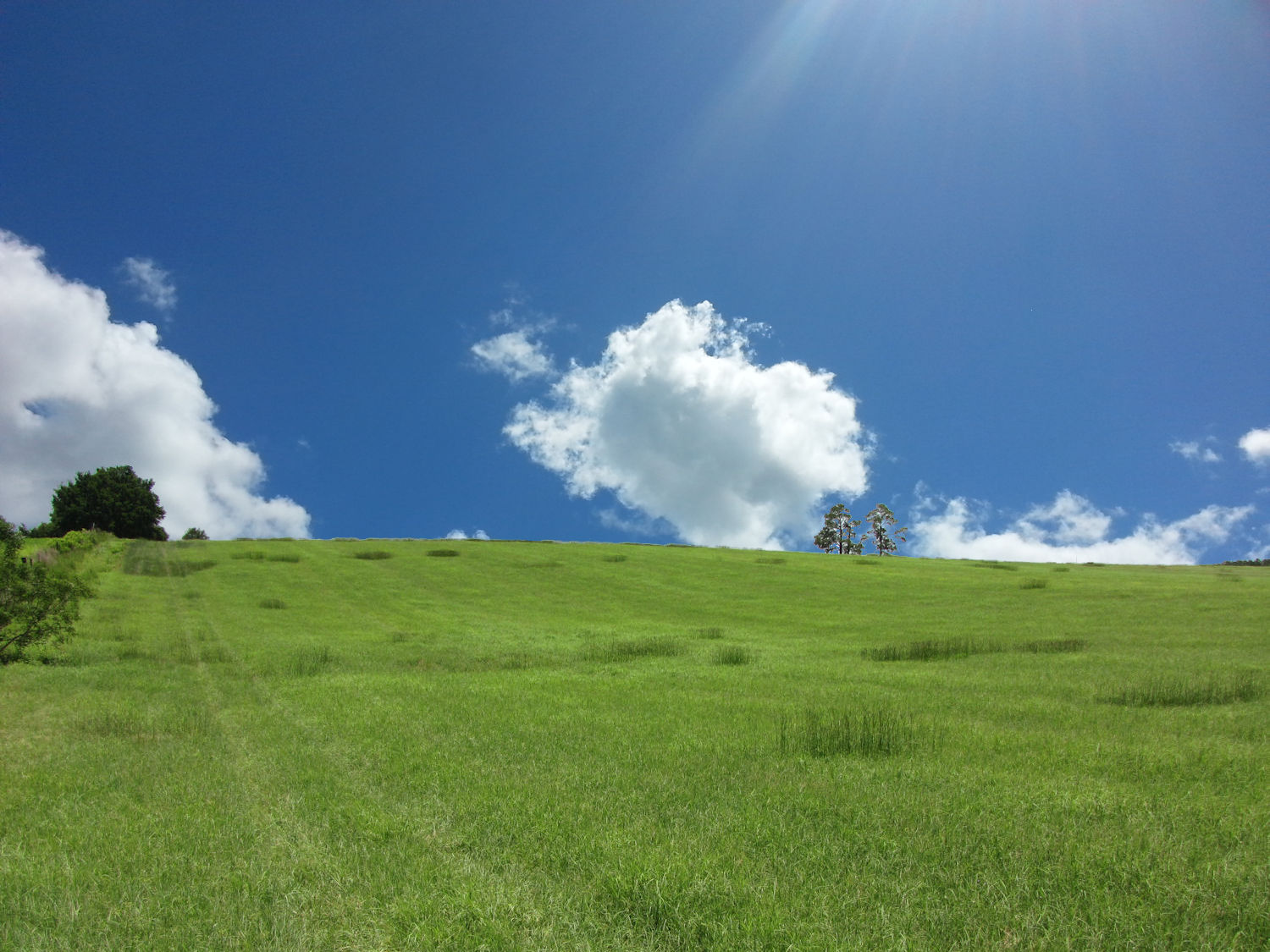 MAXION property photo